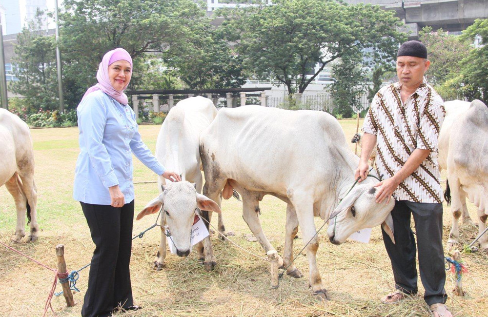Bank Sampoerna Serahkan Hewan Kurban 2018